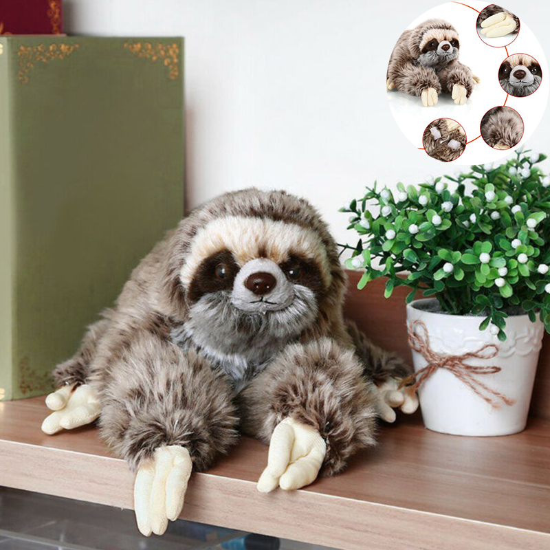 soft sloth