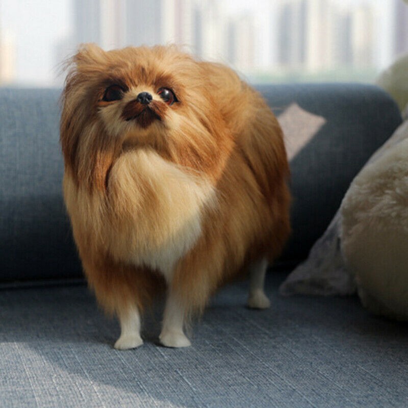 pomeranian plush toy