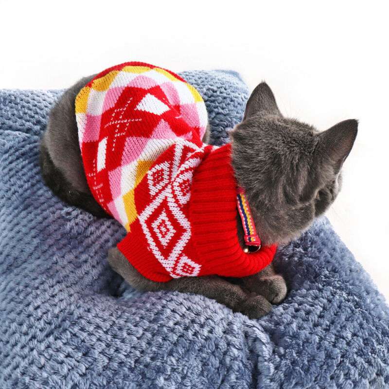 ebay cat jumper