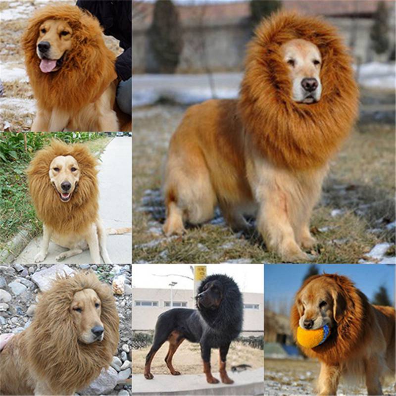 Lion Mane Wig for Dog Cat Halloween Clothes Pet Costume Festival Fancy Dress  up | eBay