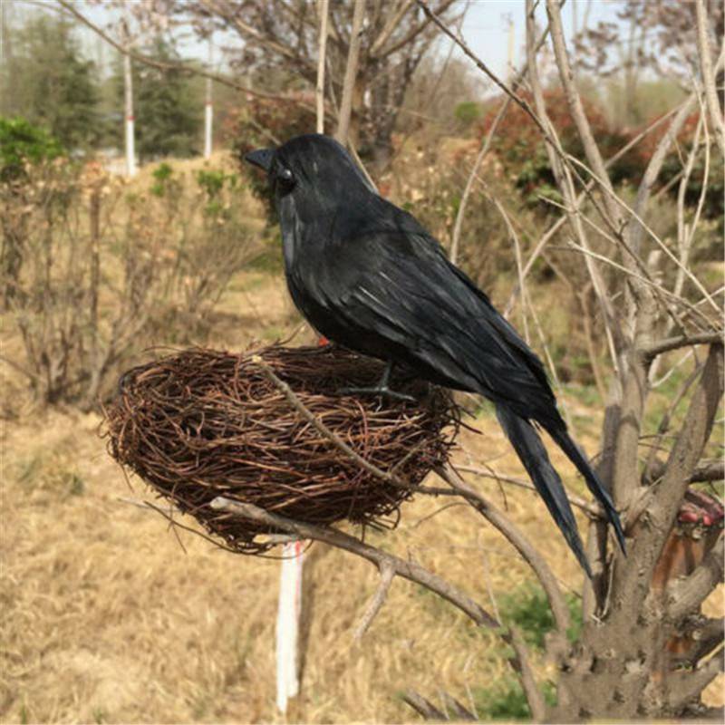 stuffed ravens