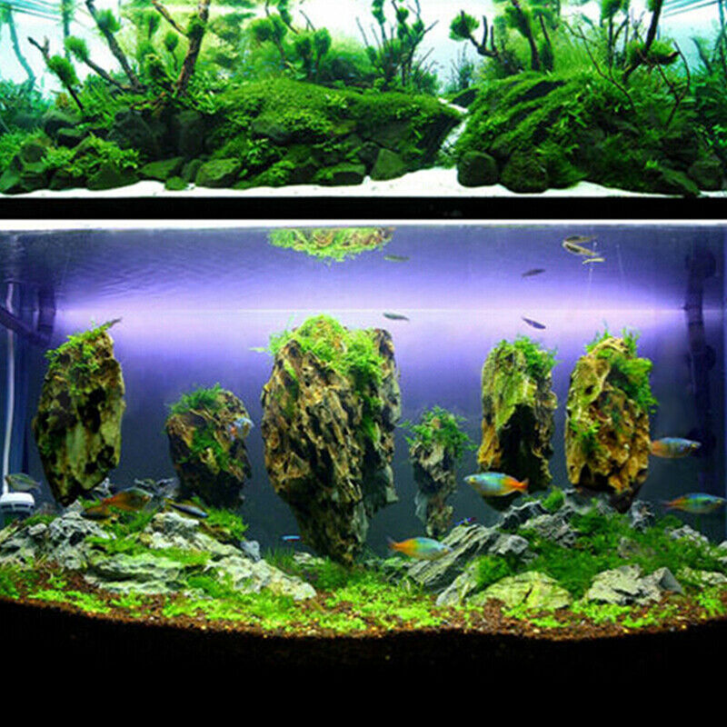 Aquarium Glue Grass Moss Instant Adhesive 7Pcs Fish Tank Aquatic Plant