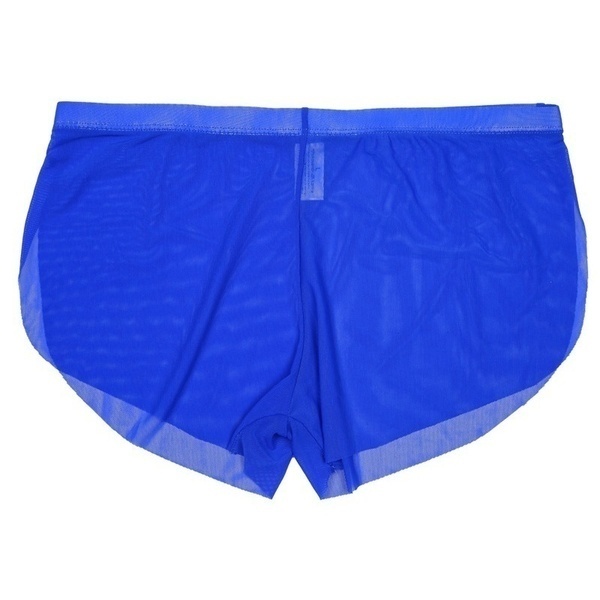 Underpants Underwear Sexy Mens Sheer Shorts Through Briefs Trunks Boxer See Mesh eBay